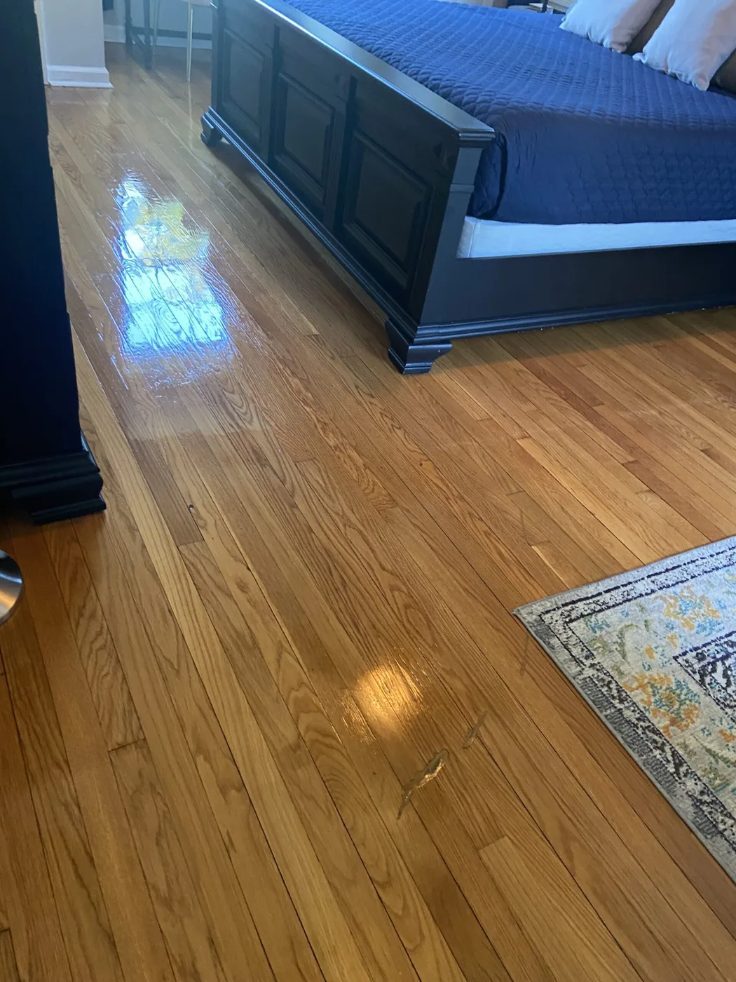 Shiny Carpet Cleaning project 11