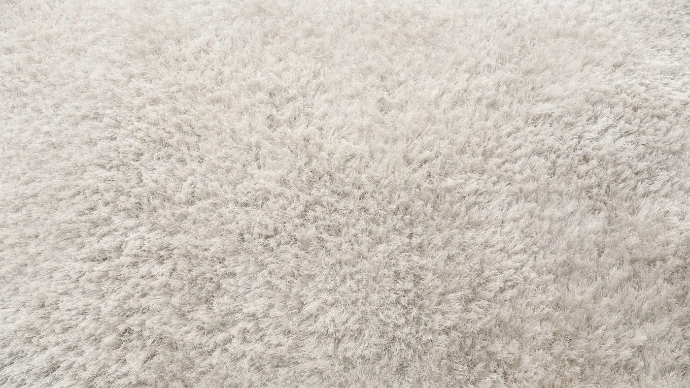 Shiny Carpet Cleaning project 20