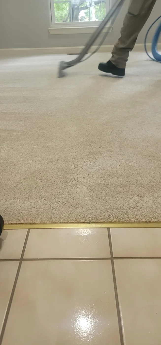 Shiny Carpet Cleaning project 25