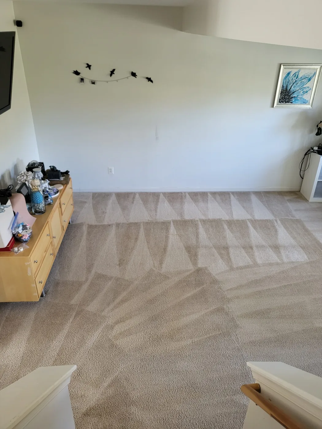 Shiny Carpet Cleaning project 26