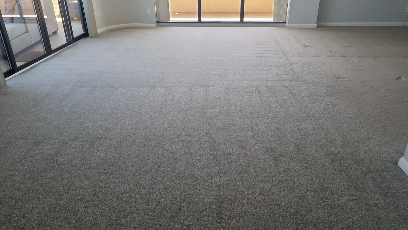 Shiny Carpet Cleaning project 36