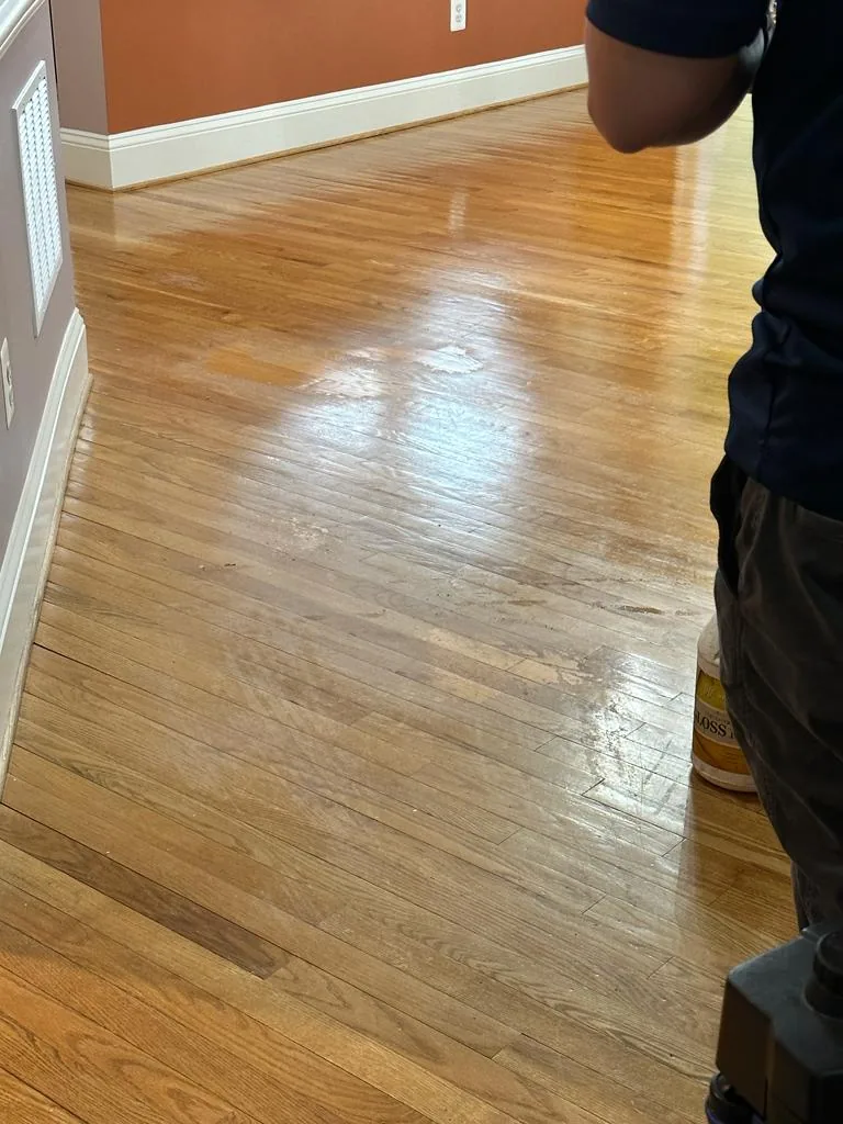 Shiny Carpet Cleaning project 38