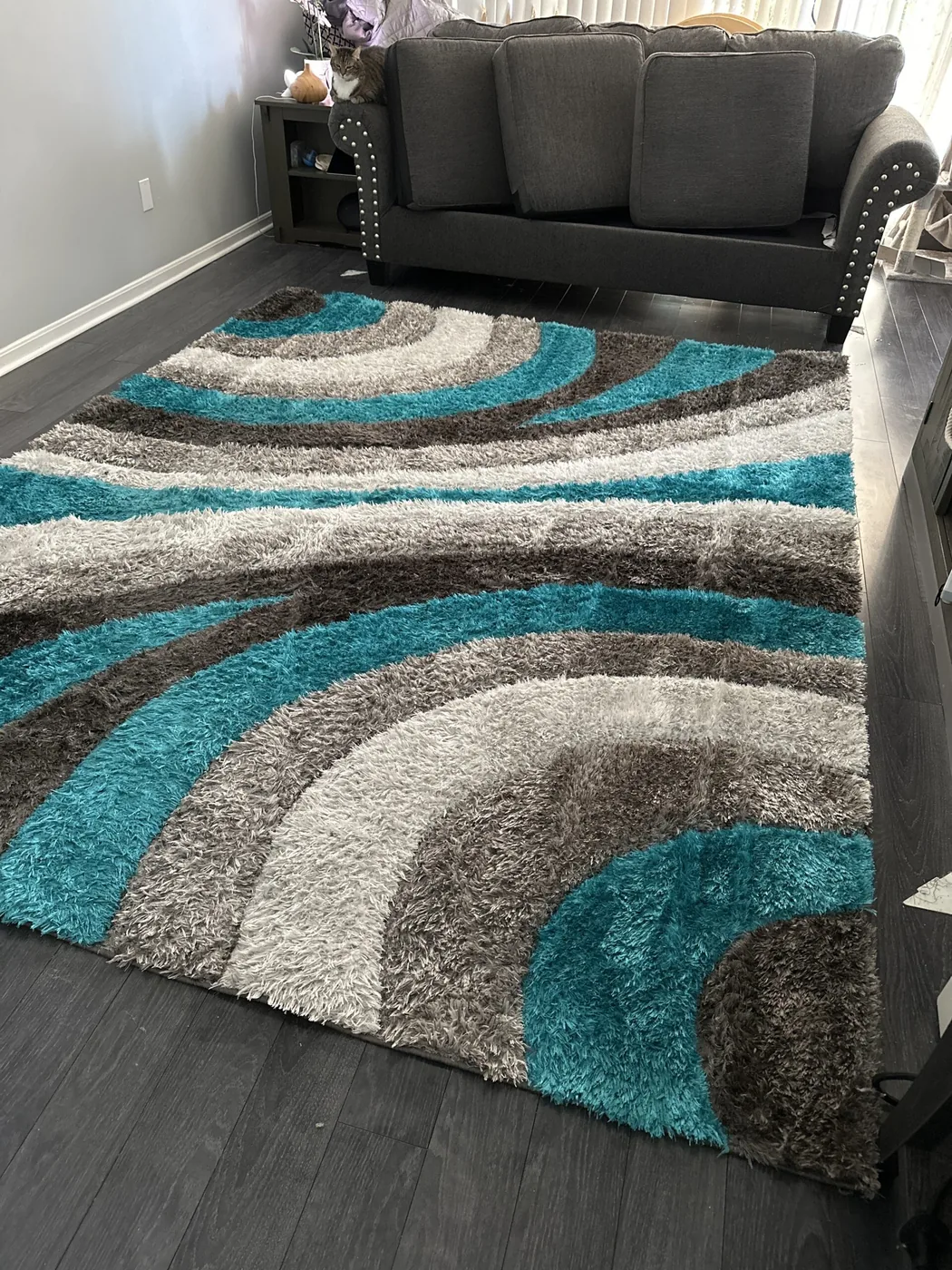 Shiny Carpet Cleaning project 42