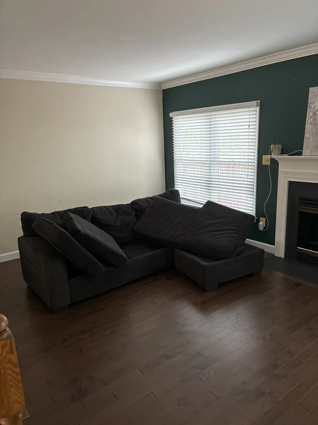 Shiny Carpet Cleaning project 47