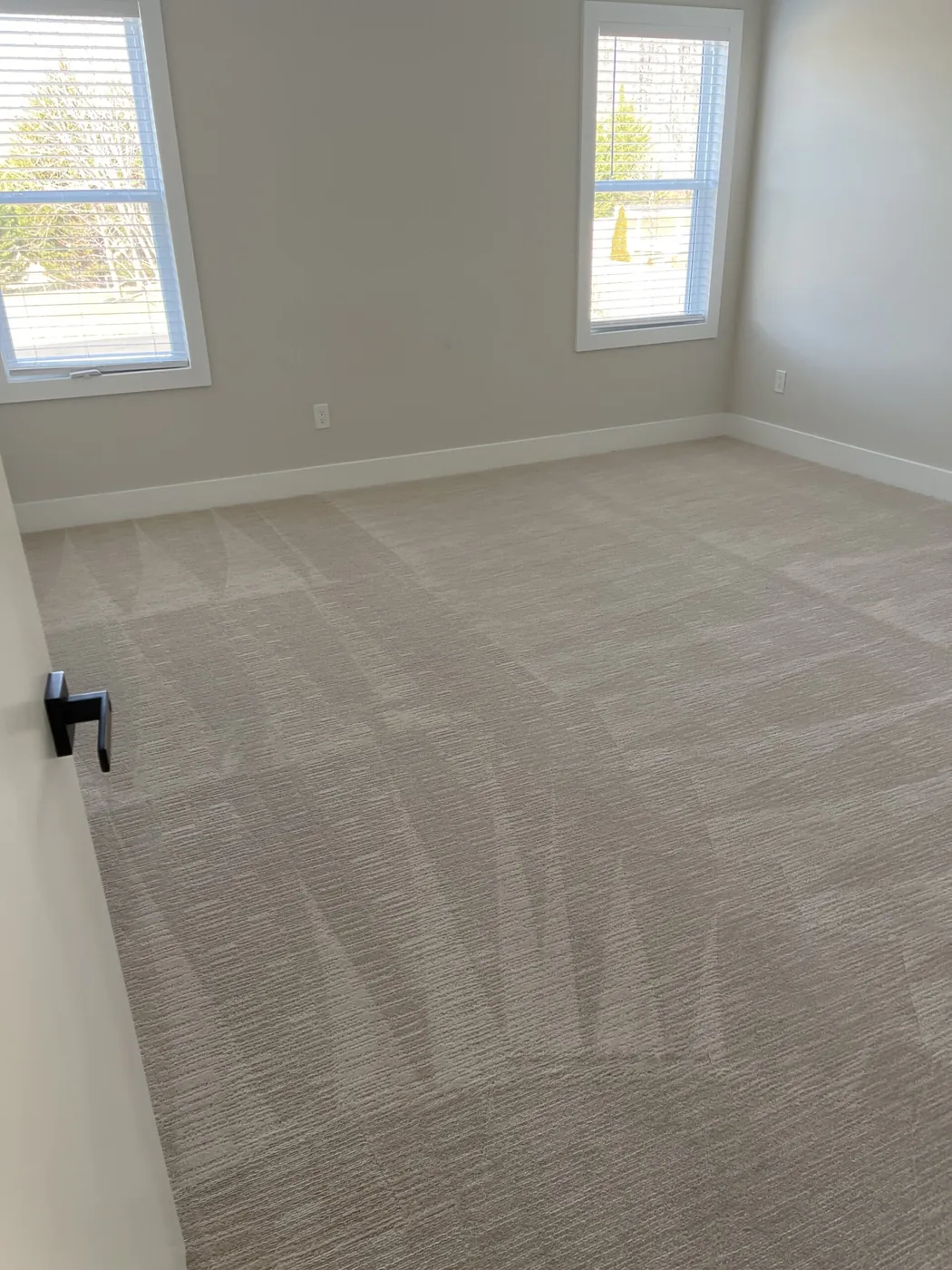 Shiny Carpet Cleaning project 49