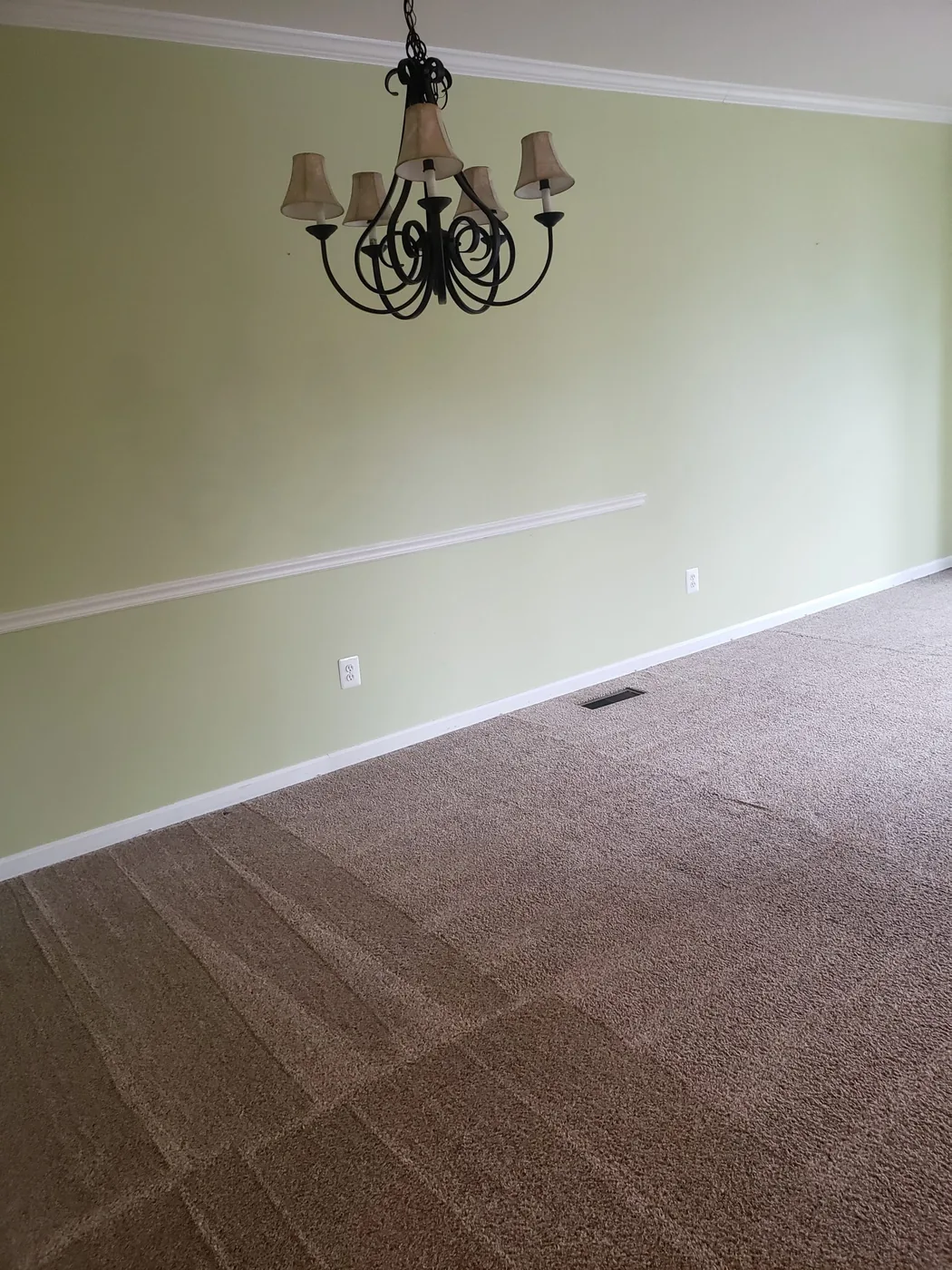 Shiny Carpet Cleaning project 55