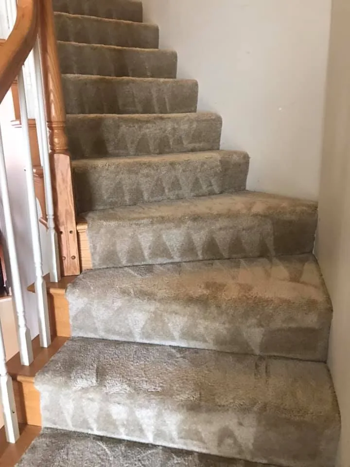 Shiny Carpet Cleaning project 62