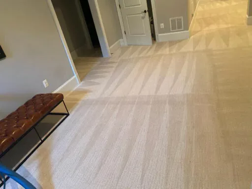 Shiny Carpet Cleaning project 63