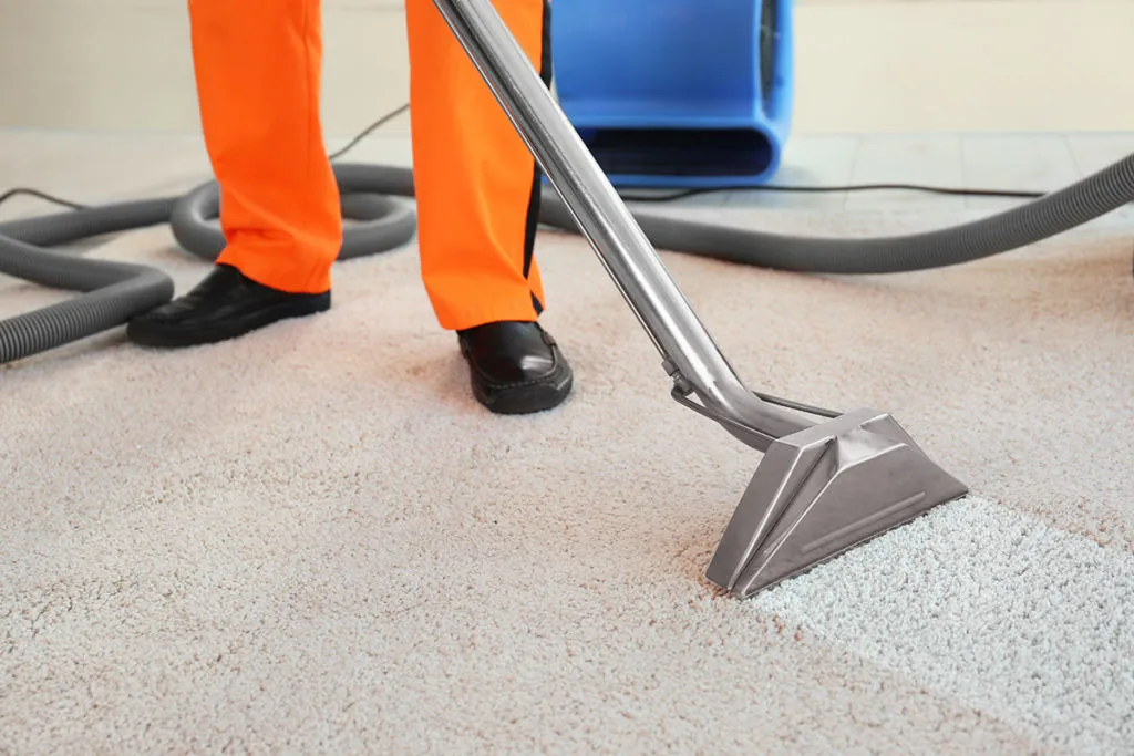 Residential carpet cleaning by Shiny Carpet Cleaning